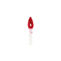 Collection Matte Liquid Lip Paint Overachiever