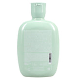 ALFAPARF 250ML S/POO ANTI DANDRUFF REBEL