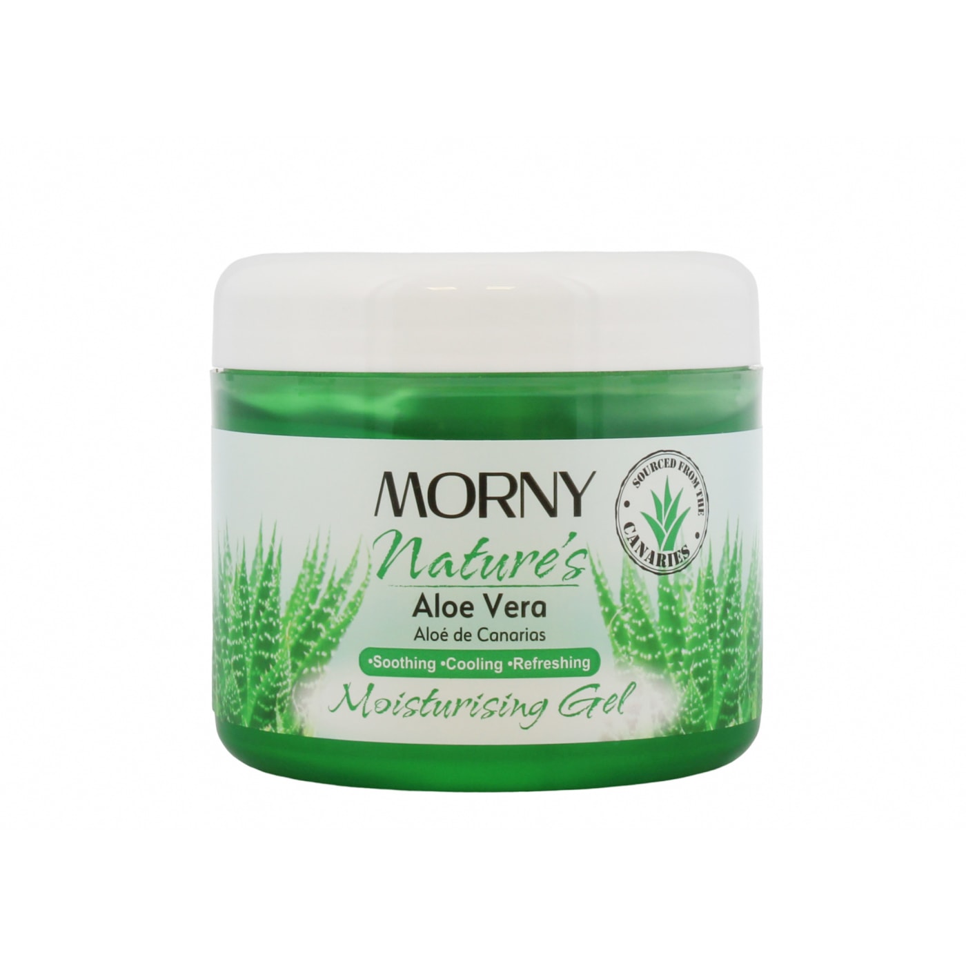 MORNY 300ML ALOE VERA MOIST GEL